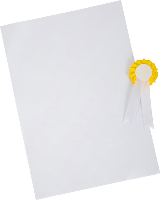 Folha de papel em branco com a fita do torneio colada, para as crianças personalizarem.