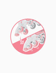 Ilustração circular mostrando a conversão 2 em 1 dos patins, de rodas paralelas para rodas em linha com seta indicativa.