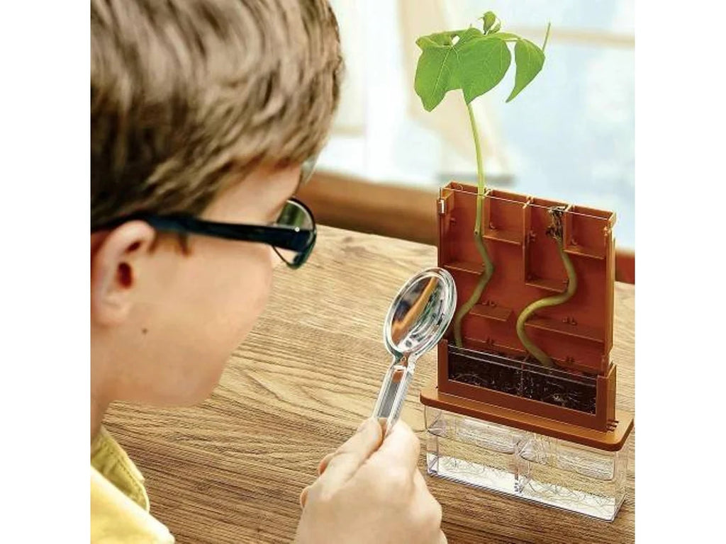 Detalhe da lupa incluída no kit GreenScience, usada para inspecionar de perto as raízes e a evolução das plantas no labirinto.