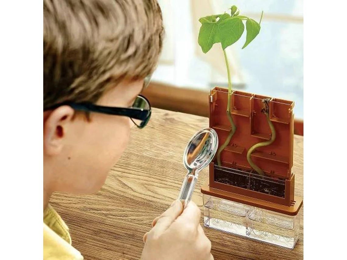 Detalhe da lupa incluída no kit GreenScience, usada para inspecionar de perto as raízes e a evolução das plantas no labirinto.