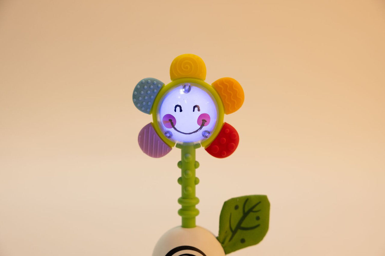 Detalhe do Hape Guizo com luz e formas, com a cabeça da flor iluminada e sorridente em fundo neutro.