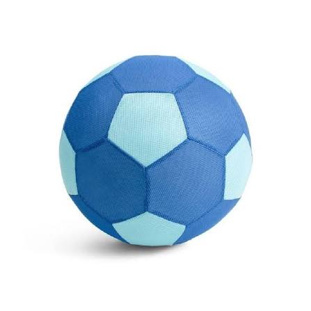 BS Giant Ball