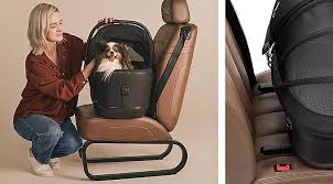 TAVO  Transportador / Sistema de Segurança MAEVE M