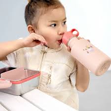 Lassig Stainless Steel Explorer Bottle Rose/Pink 500ml