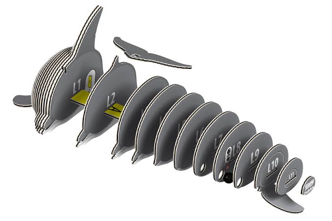 Eugy 3D Puzzle - Dolphin