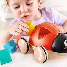 Hape Caja con formas