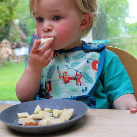 Close Reversible Bib Orangutan