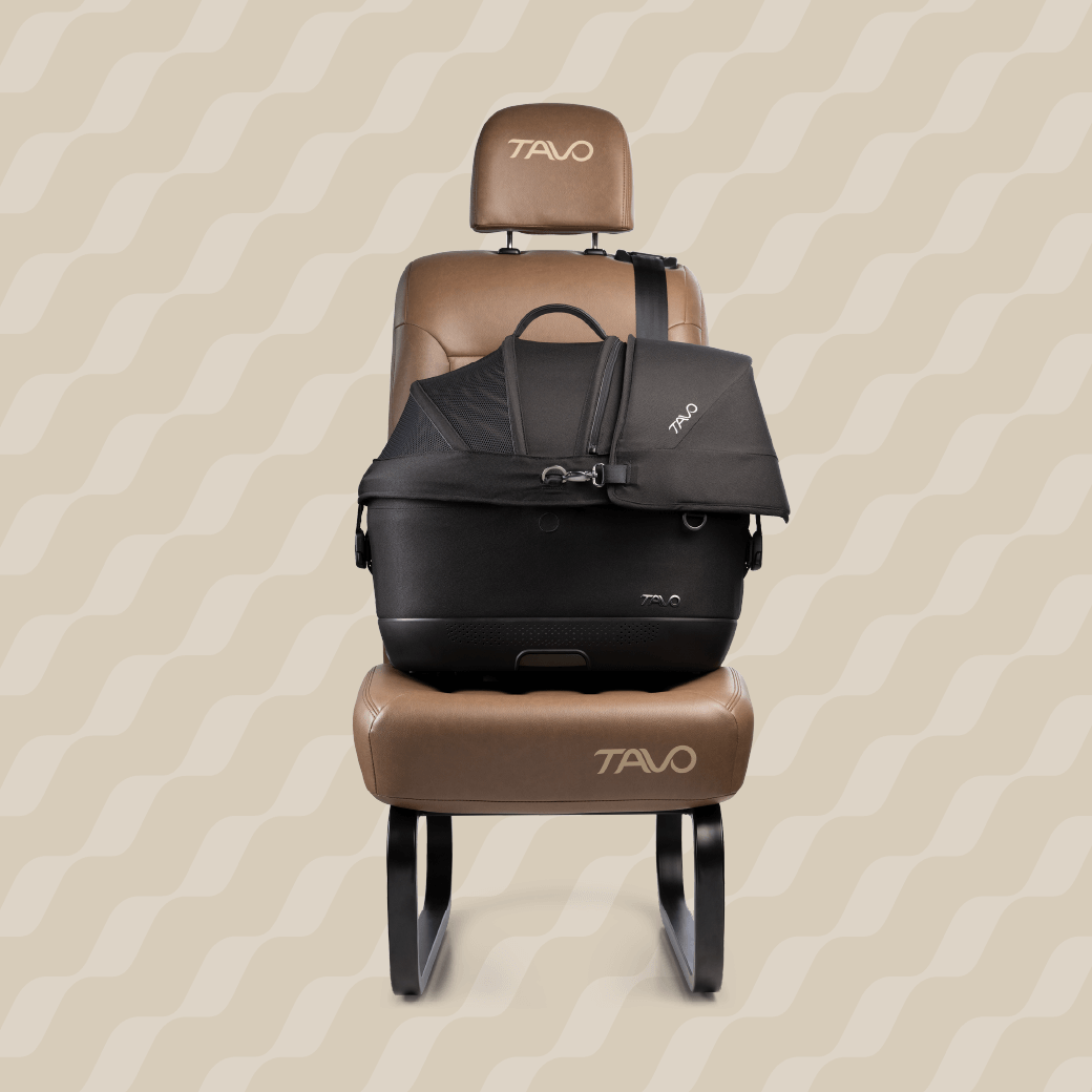 TAVO  Transportador / Sistema de Segurança MAEVE M