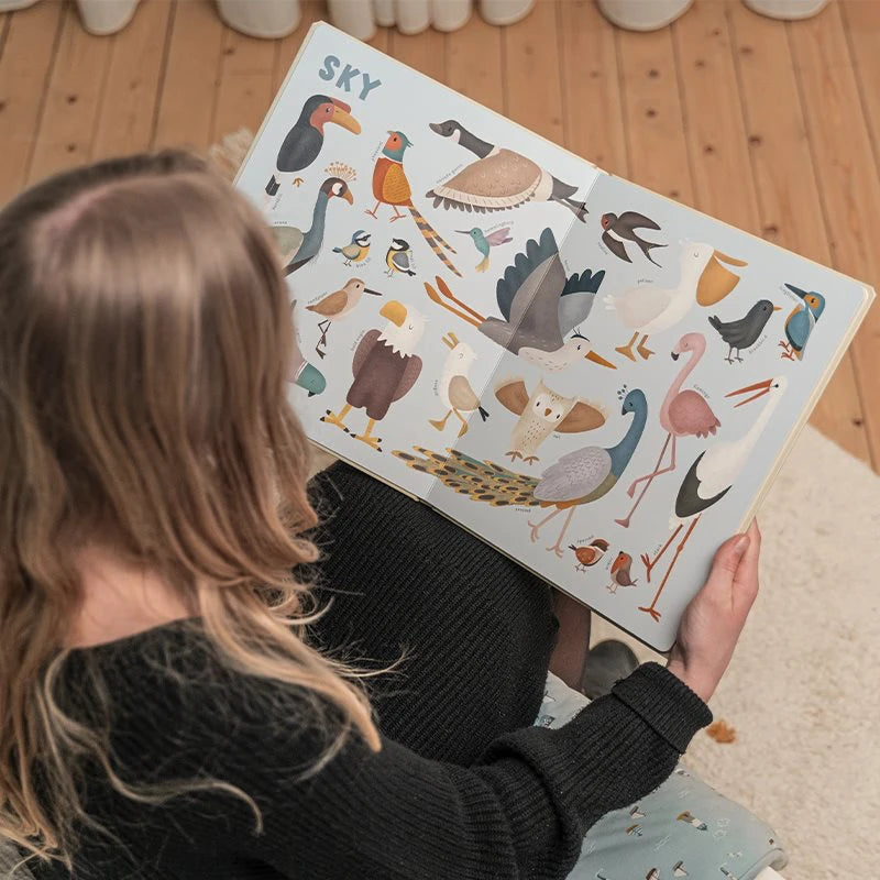 Criança loira vista por cima a folhear a secção "SKY" do livro, com ilustrações detalhadas de várias aves, como tucano, águia e flamingo.