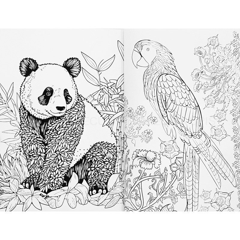 Duas páginas abertas do livro de colorir Creative Craft: um panda em folhagem e um papagaio detalhado, ambos em estilo mandala para colorir.