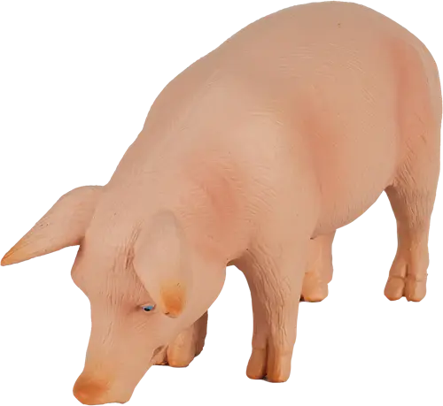 Mojo Porco M