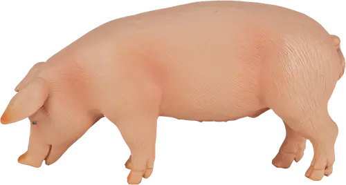 Mojo Porco M