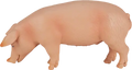 Mojo Porco M