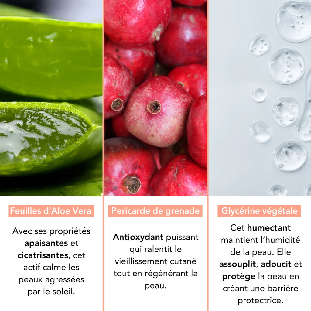 Infográfico mostrando os ingredientes naturais do protetor Monjour: Aloe Vera, Romã e Glicerina.