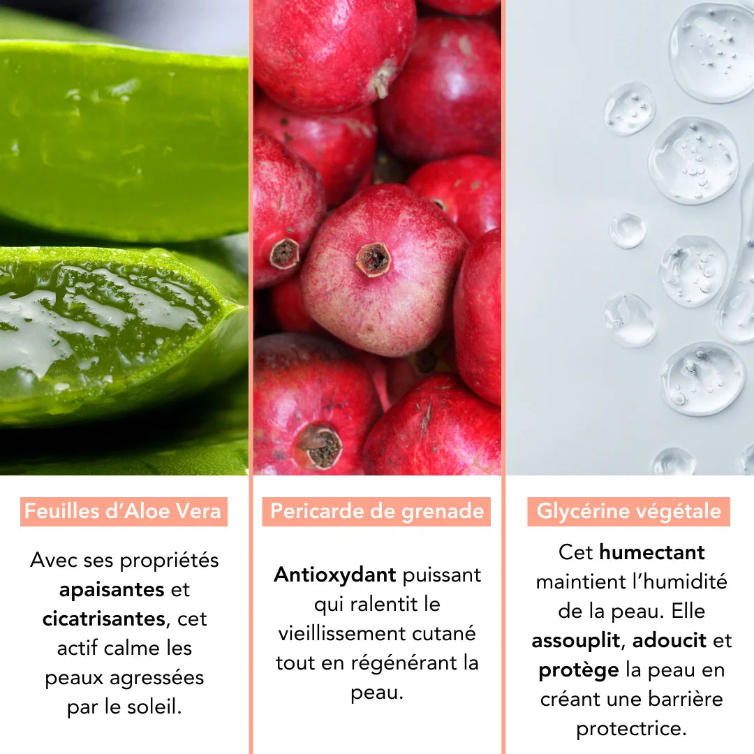 Infográfico mostrando os ingredientes naturais do protetor Monjour: Aloe Vera, Romã e Glicerina.