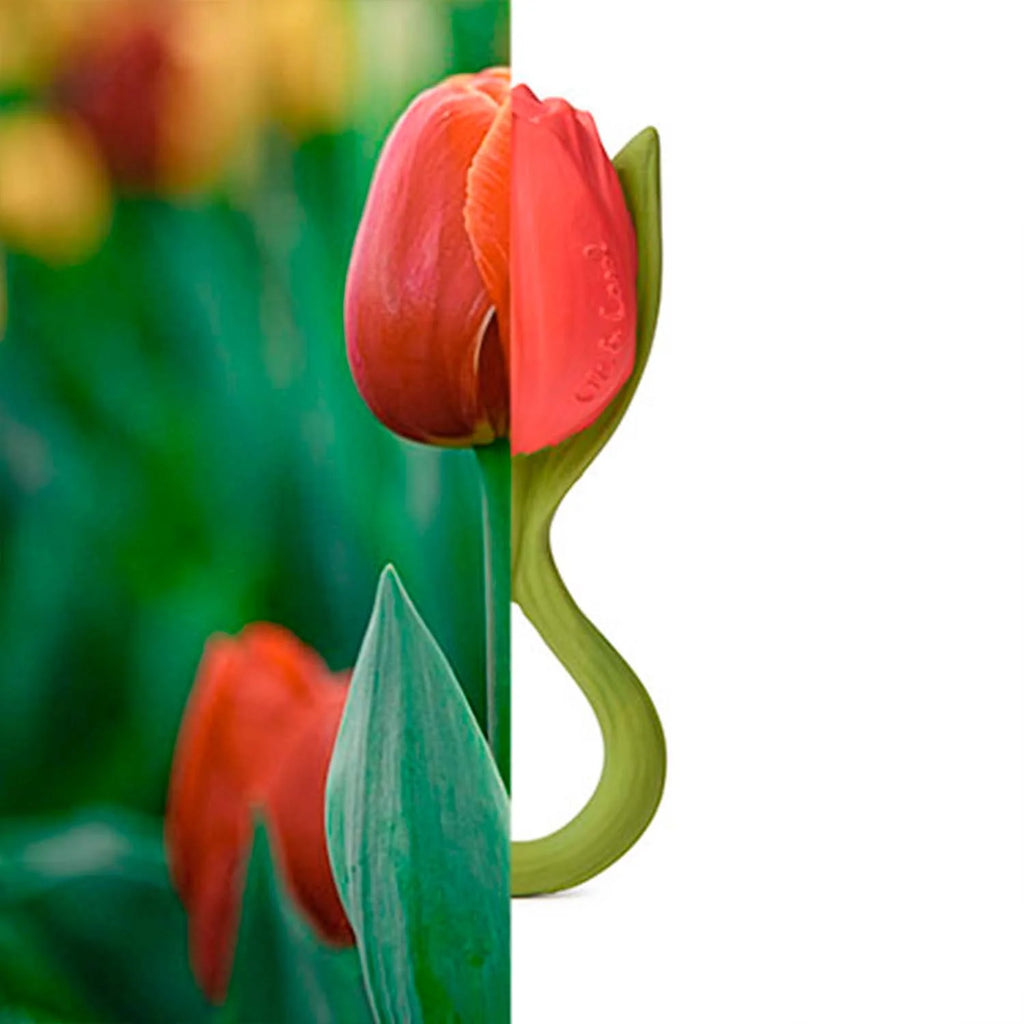 Comparação entre o mordedor Oli & Carol Theo a Tulipa e uma tulipa real, destacando a semelhança.