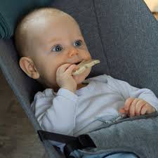 Bebé sentado num assento de baloiço cinzento a morder um mordedor de silicone bege em forma de folha, aliviando a dentição.