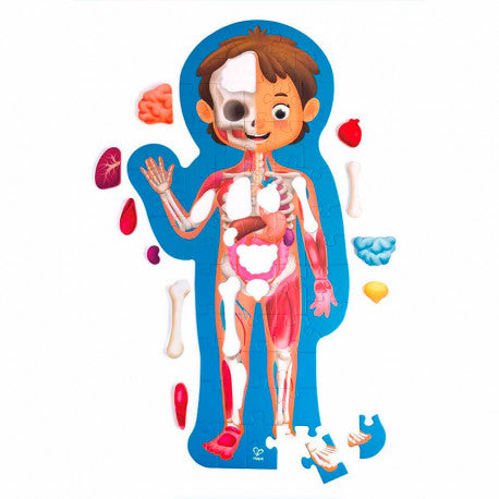 Rompecabezas del cuerpo humano de Hape 