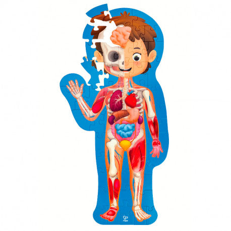 Puzzle do corpo humano da Hape parcialmente montado com peças de encaixe
