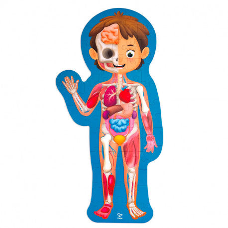 Puzzle completo do corpo humano da Hape montado