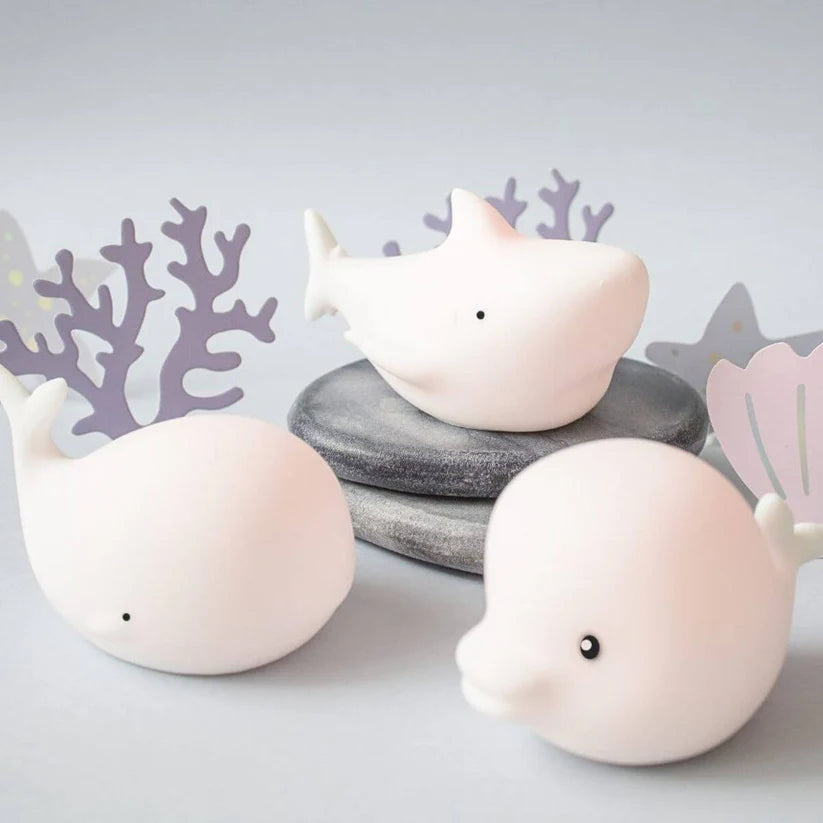 As três lâmpadas Rabbit e Friends Oceano (baleia, tubarão, golfinho) em tons claros, dispostas sobre pedras com decoração de coral.