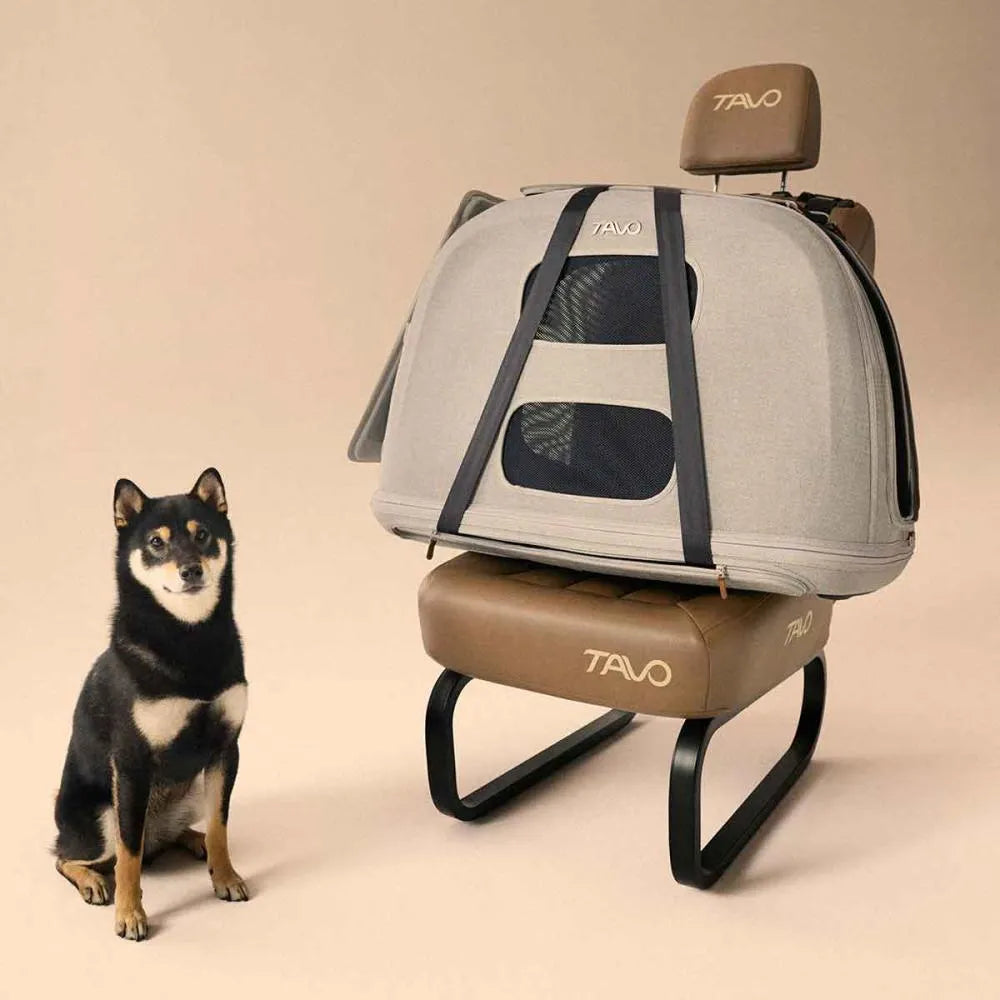 Caixa de viagem TAVO Crispin cor Merle com um cão Shiba Inu ao lado, mostrando o design espaçoso e a base de assento TAVO.