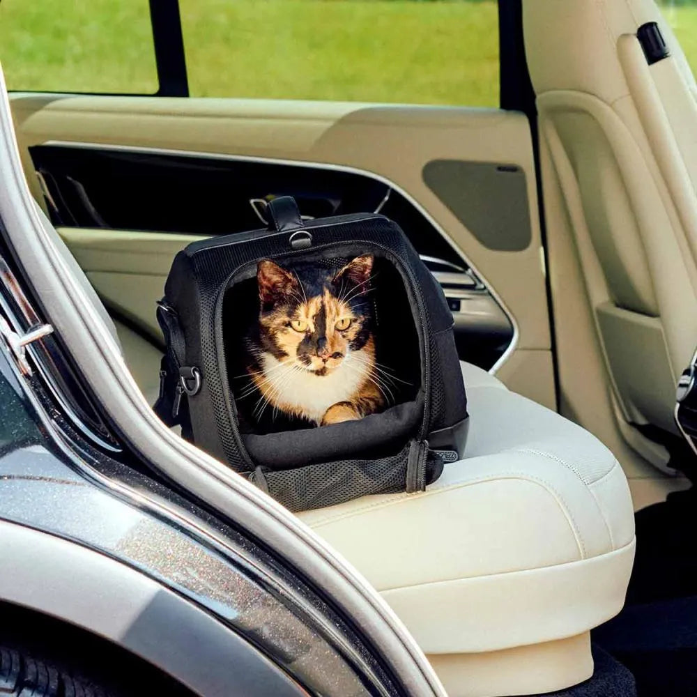 Gata malhada sentada dentro da transportadora TAVO Dupree II preta, instalada no banco de couro claro de um carro, evidenciando uso como cadeira auto.