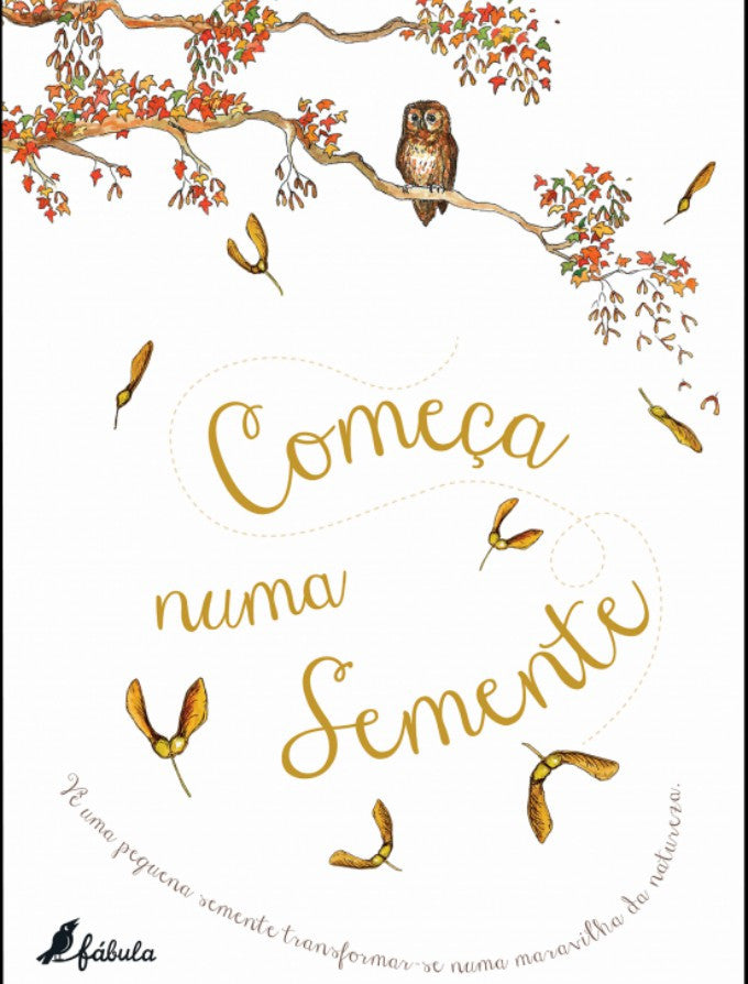 Ilustração encantadora do livro "Tudo Começa Numa Semente", mostrando uma coruja em um ramo de árvore com sementes caindo, representando a transformação da natureza.