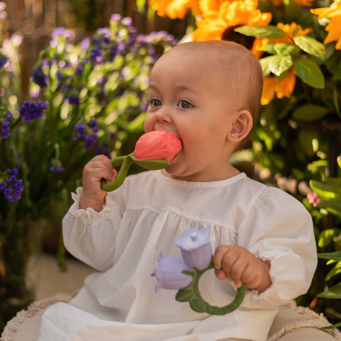 Oli  & Carol Mordedor Theo a Tulipa
