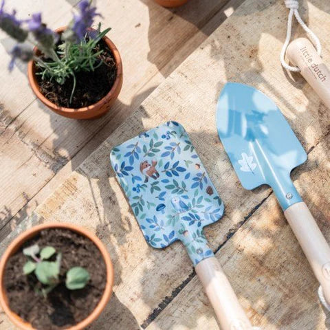 Vaso de terracota Little Dutch com sementes de flores Não-me-Esqueças para crianças aprenderem jardinagem.