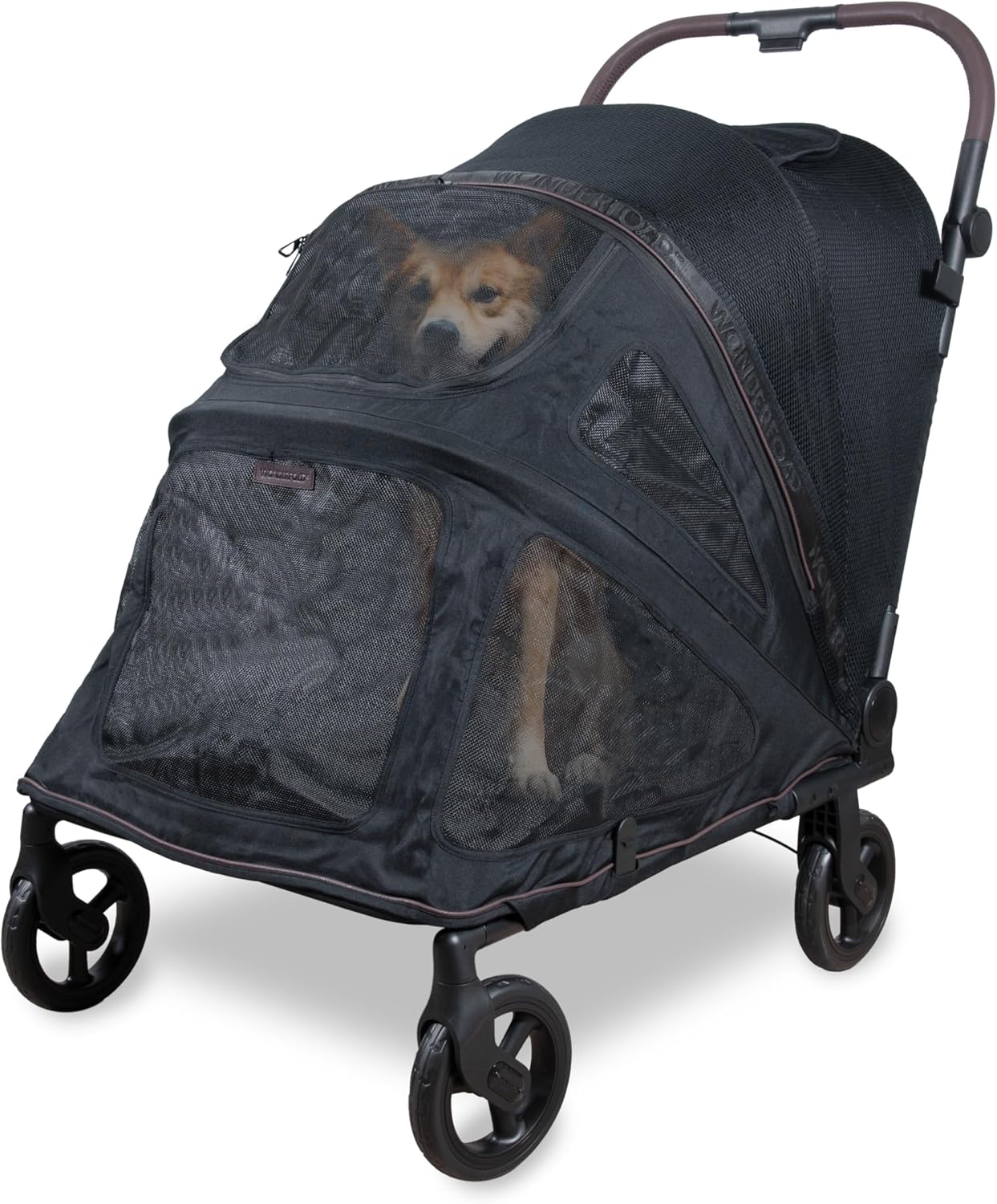 Cão Shiba Inu sentado confortavelmente dentro do carrinho Wonderfold com a malha de proteção fechada.