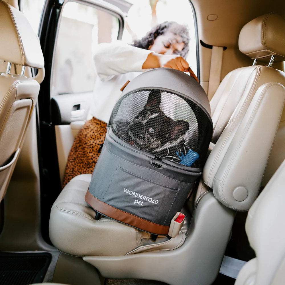 Mãe e filho passeando com carrinho Wonderfold P2 para pets, com um cão pequeno dentro, em frente a edifícios.