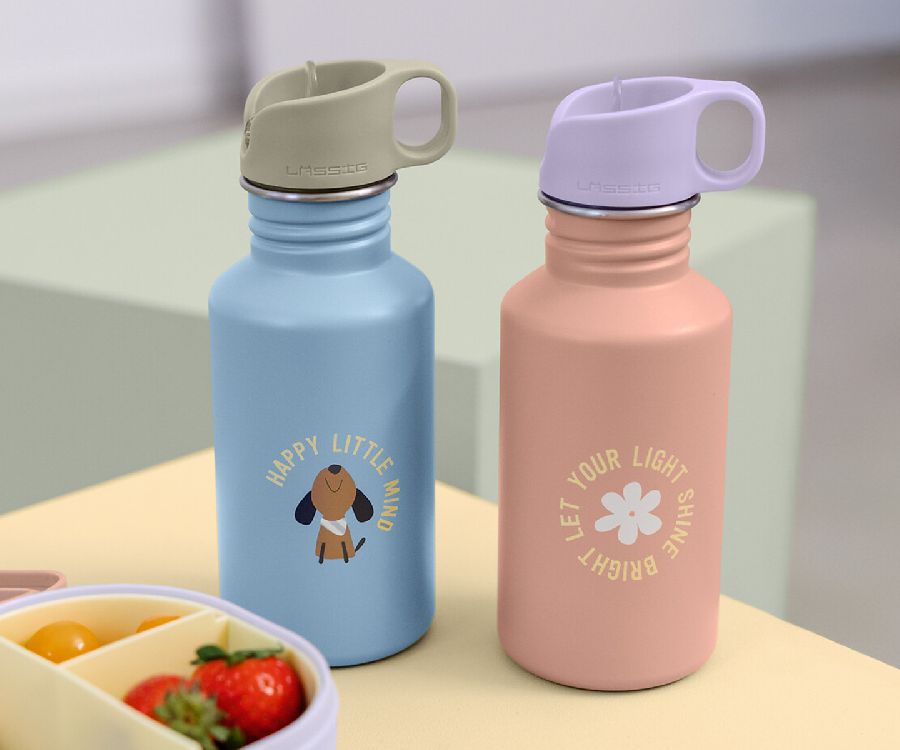 Lassig Stainless Steel Bottle Party Rose/Lilac 500ml