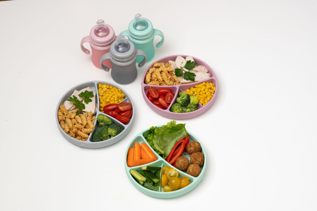 Everyday Baby Silicone Plate with Suction Cup