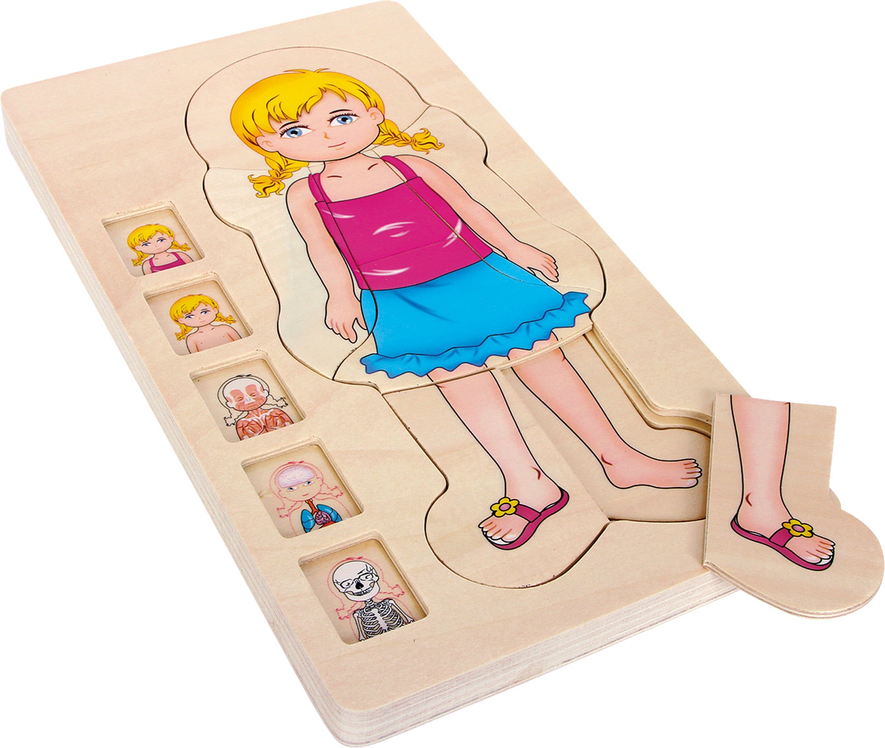 Puzzle Encaixes Corpo Humano