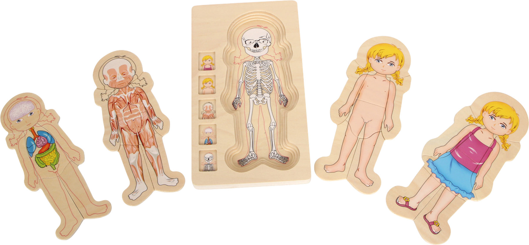 Puzzle Encaixes Corpo Humano