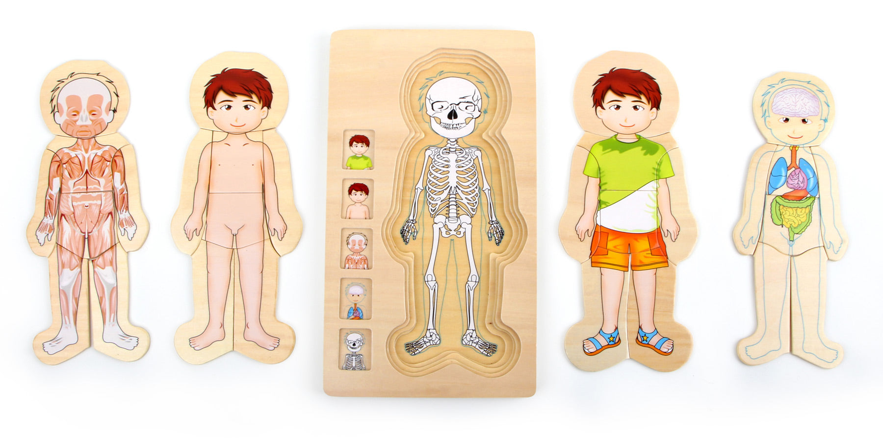 Puzzle Encaixes Corpo Humano
