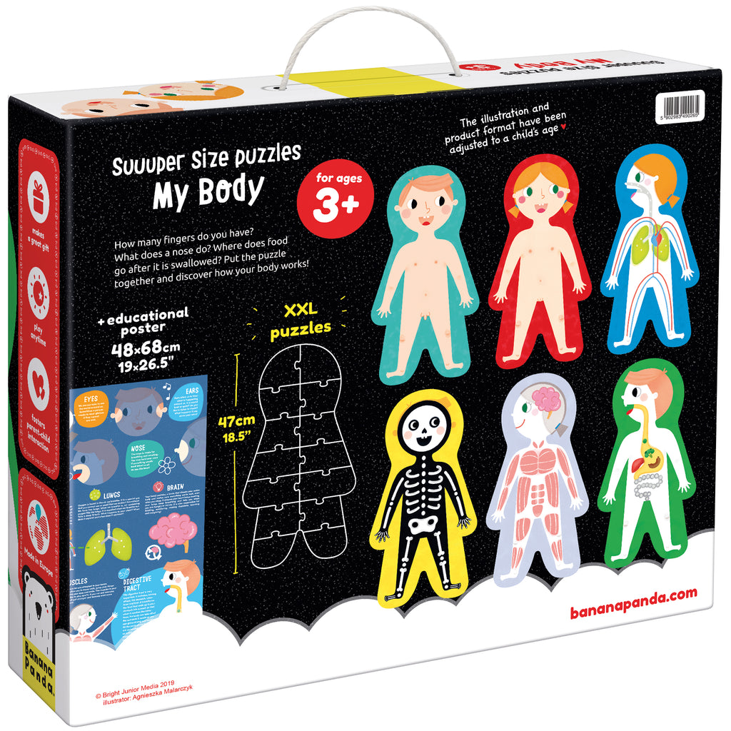 Giant Banana Panda Puzzle The Human Body