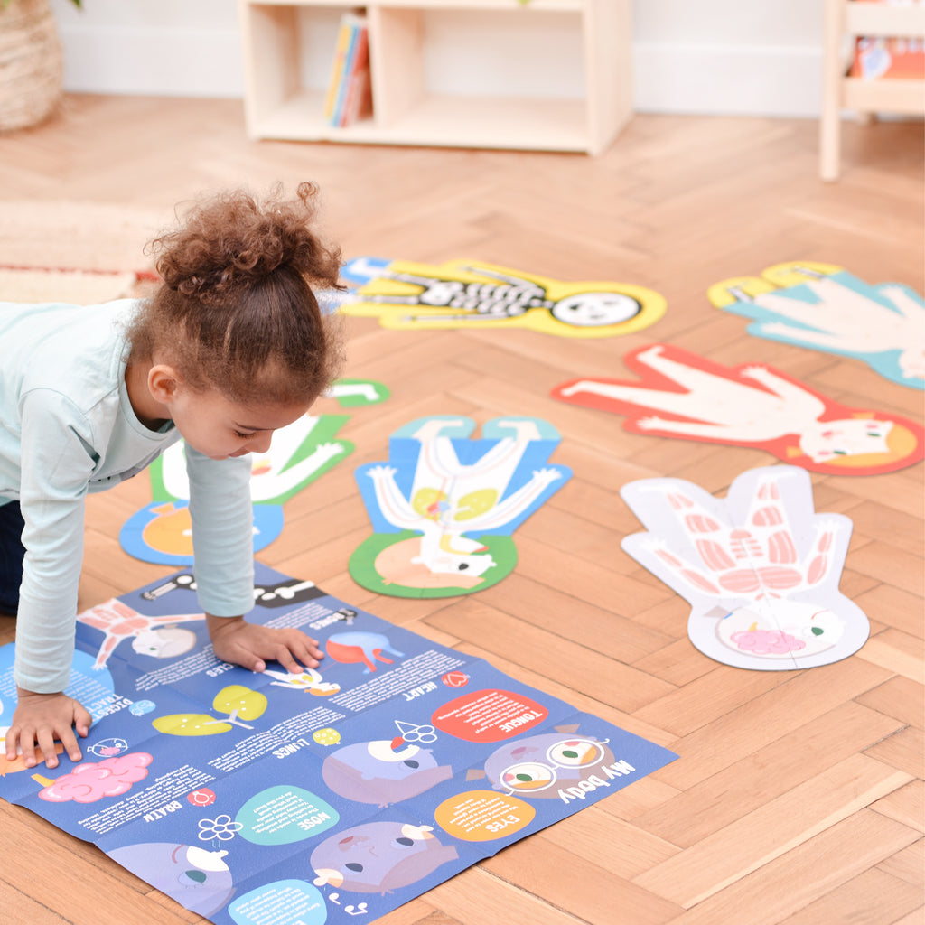 Giant Banana Panda Puzzle The Human Body