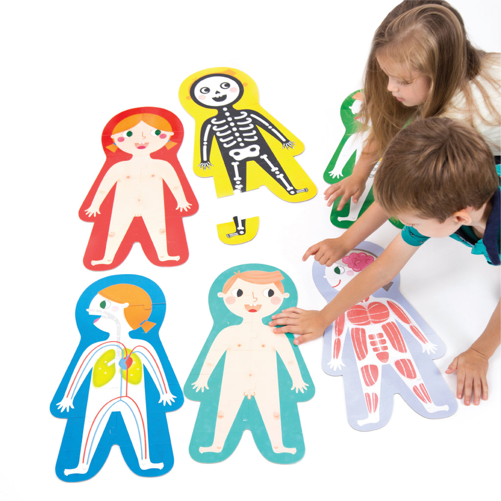 Giant Banana Panda Puzzle The Human Body