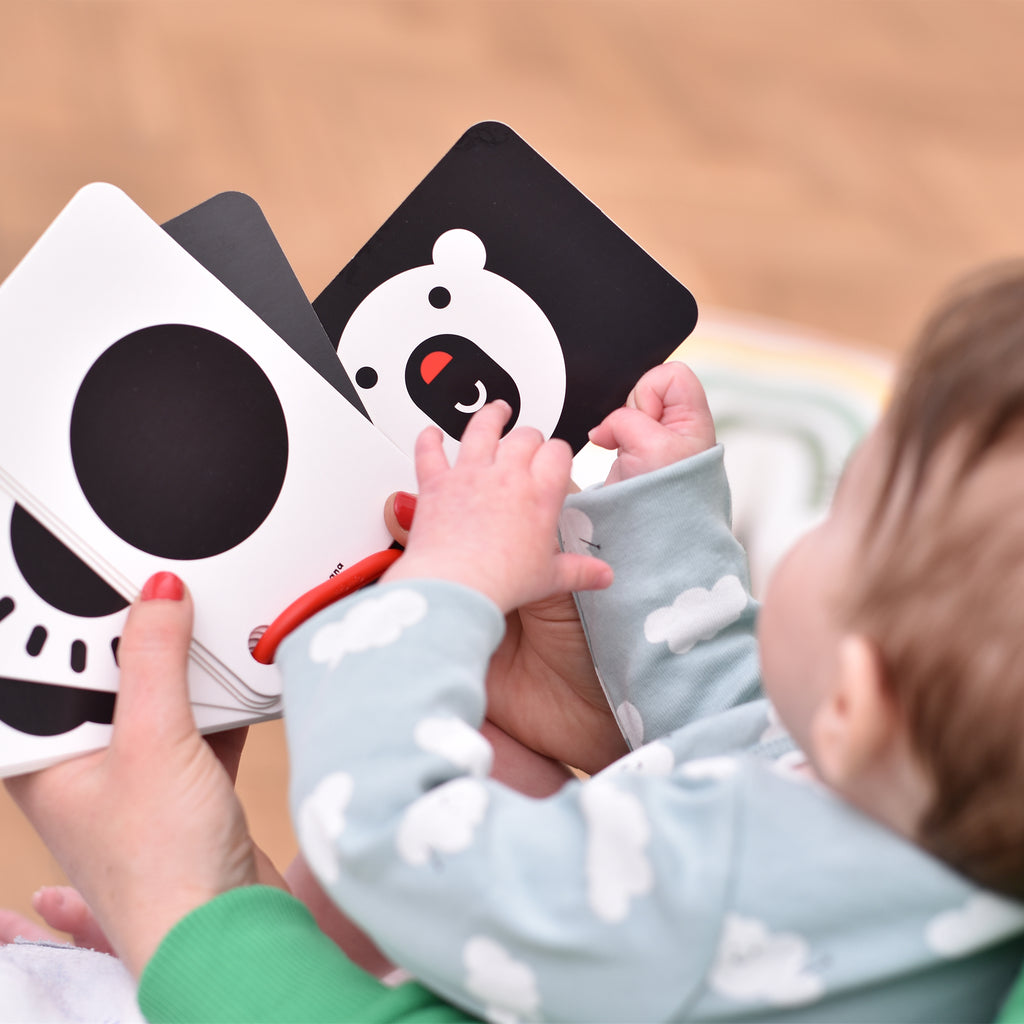 Banana Panda Cartões 10un Alto Contraste 0 meses + com argola