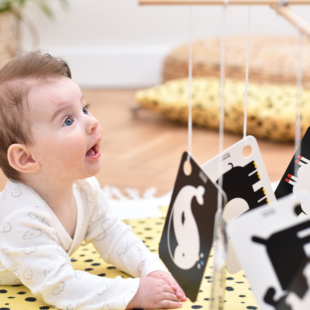Banana Panda Cartões 10un Alto Contraste 0 meses + com argola