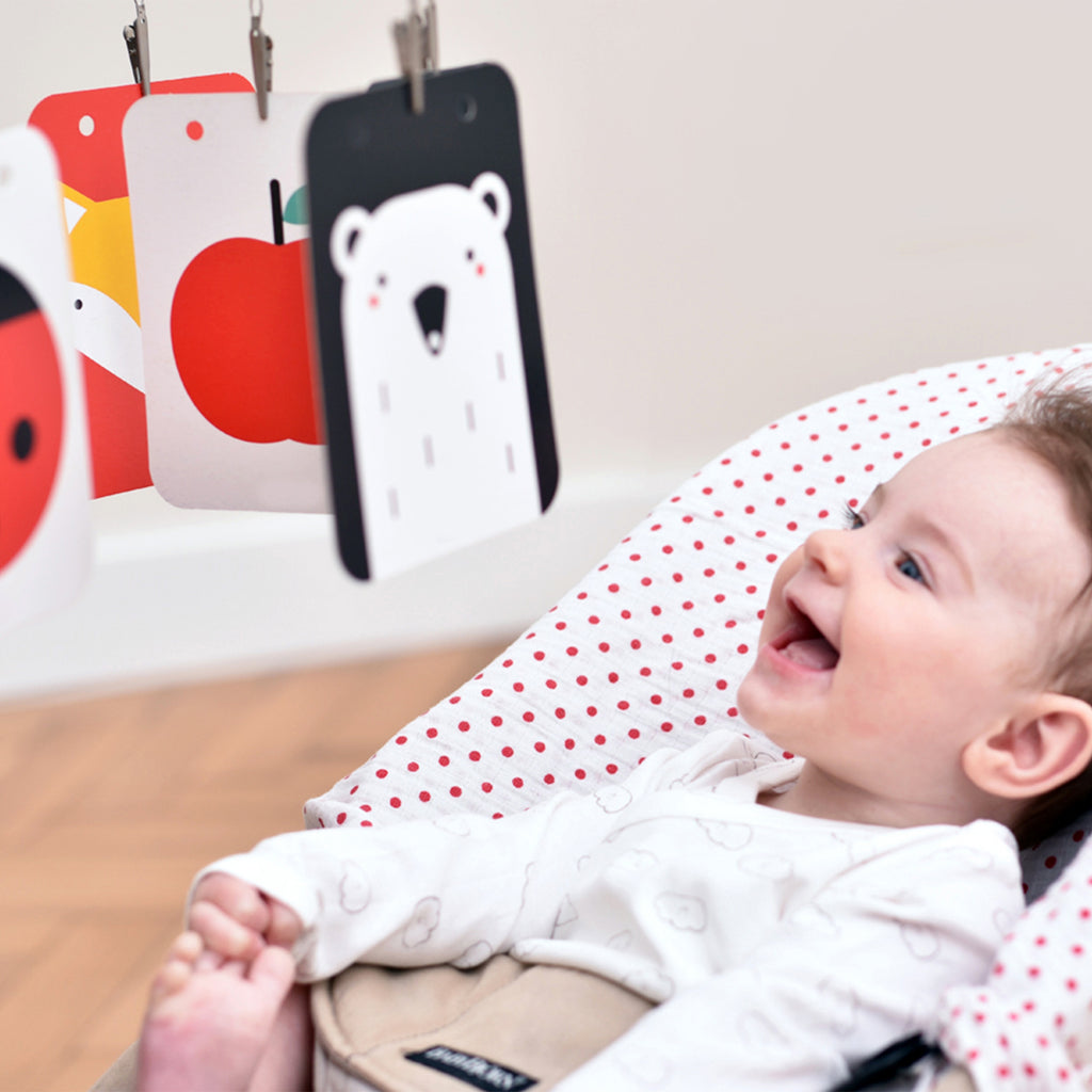 Banana Panda Baby Pack 2 Books High Contrast 