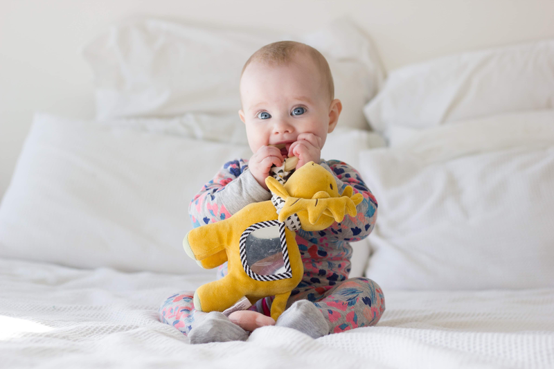 Tikiri multi-function lion plush toy