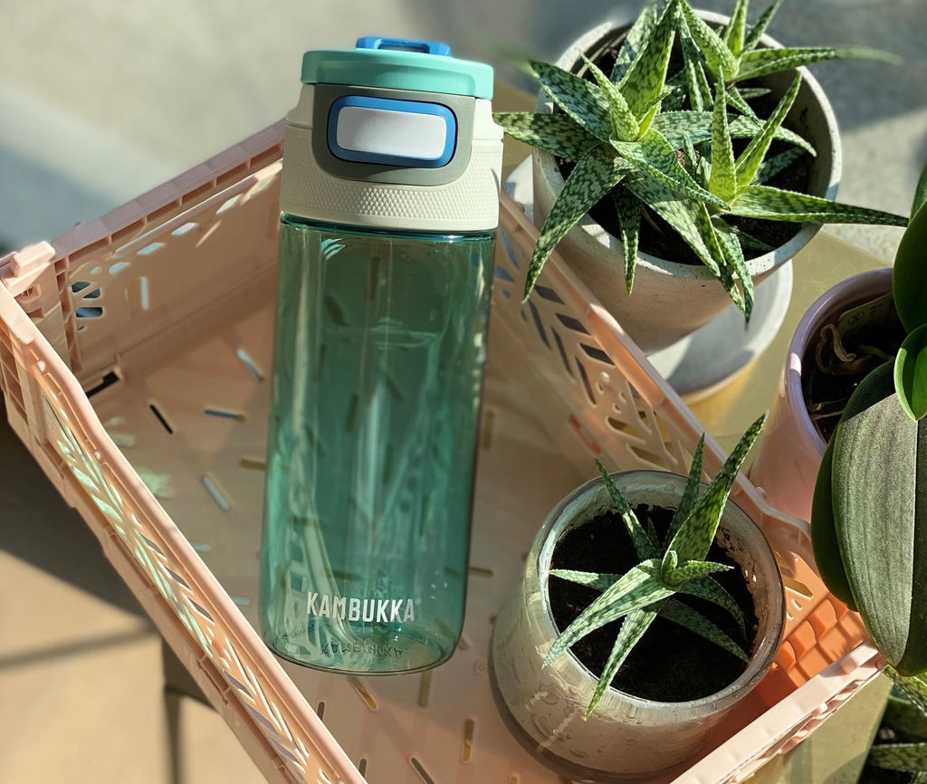 Garrafa Kambukka Elton 500ml verde água cheia de água, colocada numa caixa de plástico bege com plantas ao redor.