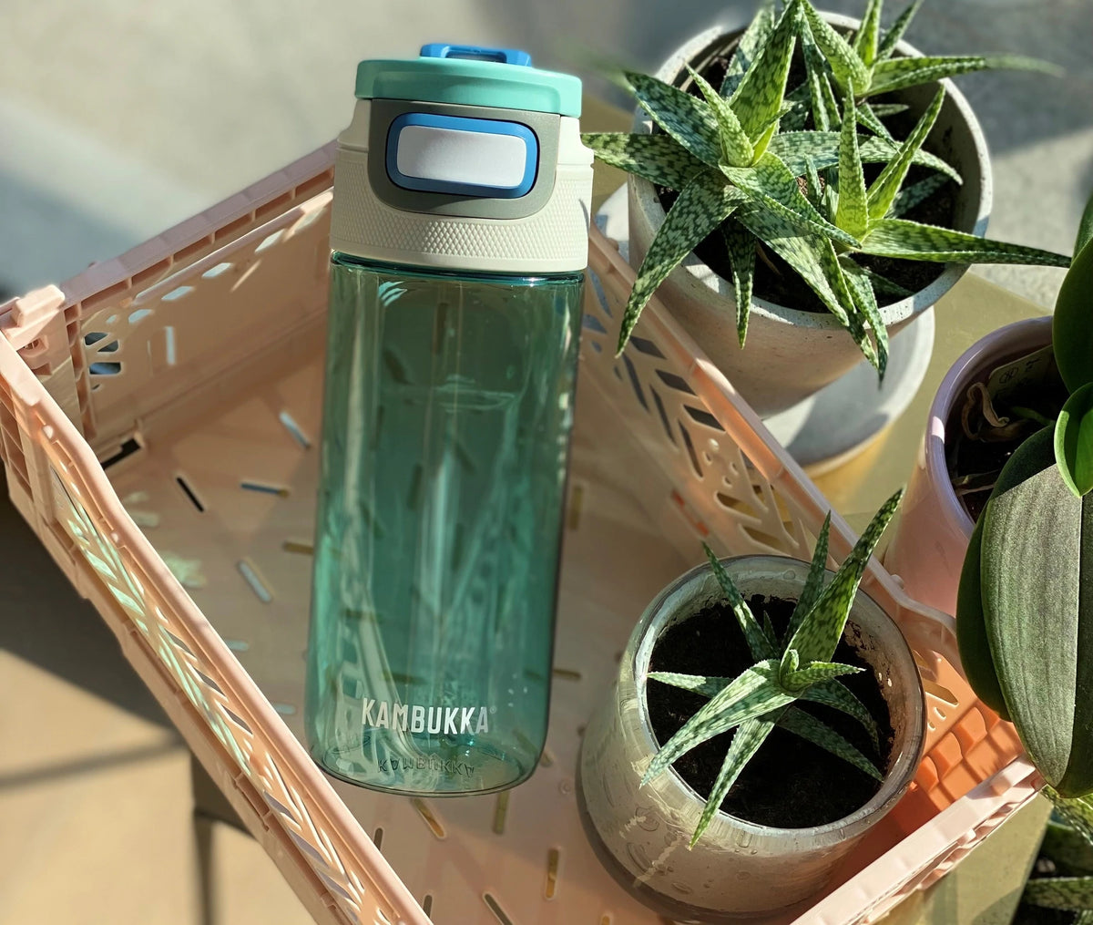Garrafa Kambukka Elton 500ml verde água cheia de água, colocada numa caixa de plástico bege com plantas ao redor.