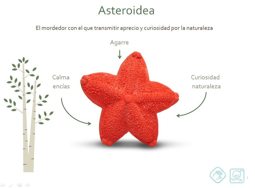 Mordedor Estrella de Mar Natural Lanco