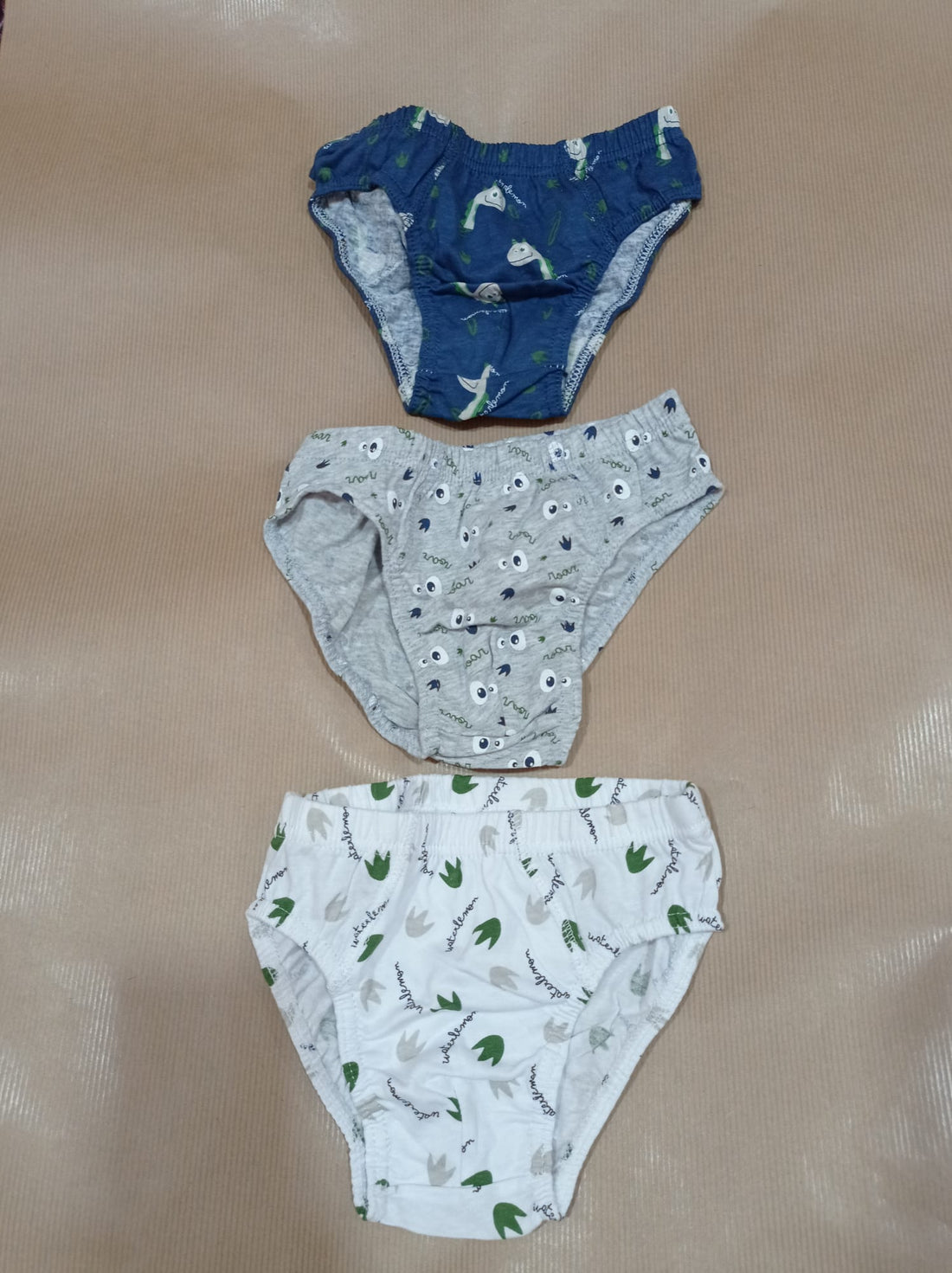 Waterlemon Interior Set of 3 Children's Briefs