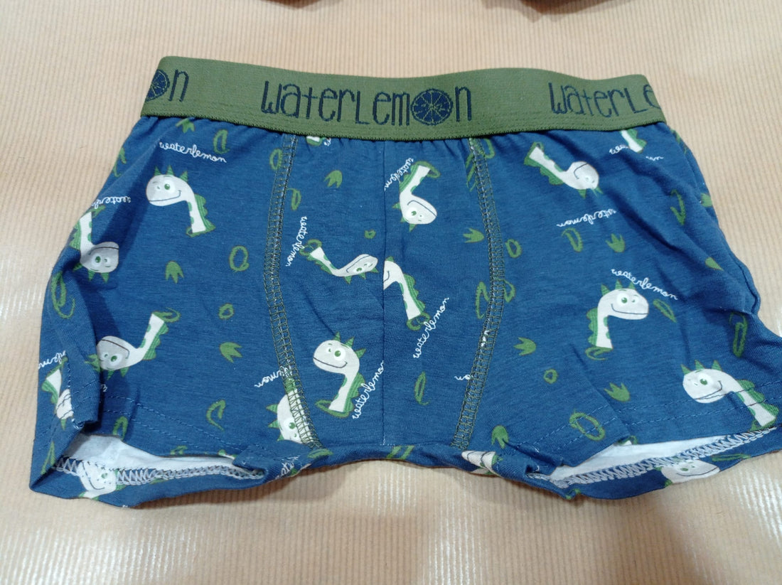 Waterlemon interior Set de 2 Boxers Infantiles