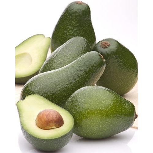 AVOCADO OIL 100ml Abacate